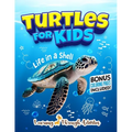 Turtles For Kids: Life In a Shell