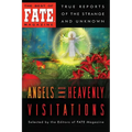 Angels and Heavenly Visitations