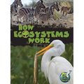How Ecosystems Work