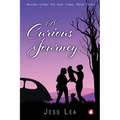 A Curious Journey