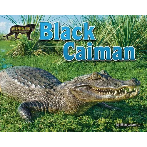 Black Caiman