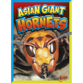 Asian Giant Hornets
