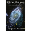 Divine Madness: The Quantum Mechanics of the Soul, A Novel (Broadly Speaking)