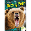 Grizzly Bear
