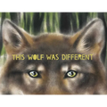 This Wolf Was Different