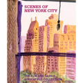 Scenes of New York City: The Elie and Sarah Hirschfeld Collection