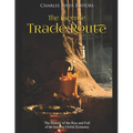 The Incense Trade Route: The History of the Rise and Fall of an Ancient Global Economy