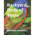 Backyard Birds of Texas