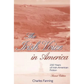 The Irish Voice in America: 250 Years of Irish-American Fiction
