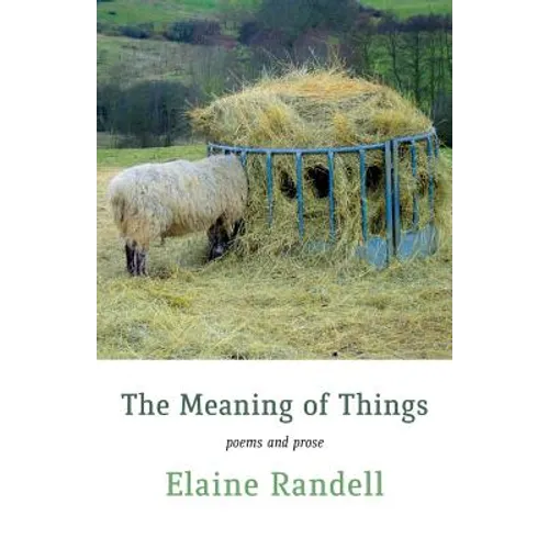 The Meaning of Things