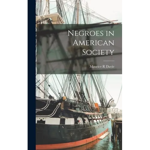 Negroes in American Society