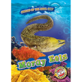 Moray Eels