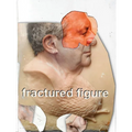 Fractured Figure, Volume I
