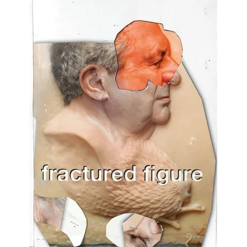 Fractured Figure, Volume I