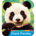 Smithsonian Kids Giant Pandas