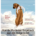 Hoe de Rhodesian Ridgeback aan zijn Ridge komt