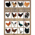 The Concise Encyclopedia of Poultry Breeds: An Illustrated Directory of Over 100 Chickens, Ducks, Geese and Turkeys, with 275 Photographs