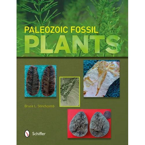 Paleozoic Fossil Plants