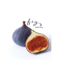 Fig