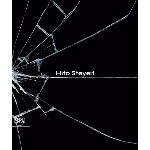 Hito Steyerl: The City of Broken Windows