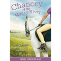Chancey: Horses of the Maury River Stables
