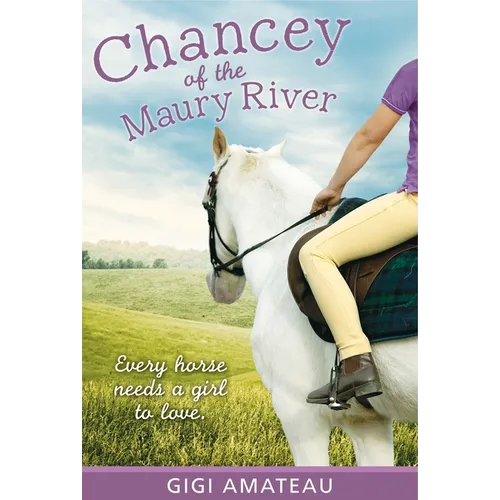 Chancey: Horses of the Maury River Stables