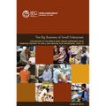 The Big Business of Small Enterprises