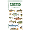 Colorado Freshwater Fishes