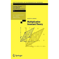 Multiplicative Invariant Theory