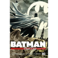 Batman by Paul Dini Omnibus