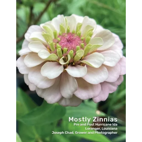 Mostly Zinnias: Flower Photos Pre and Post Hurricane Ida