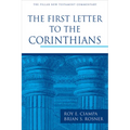 The First Letter to the Corinthians