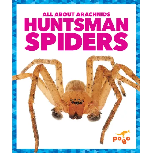 Huntsman Spiders