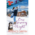 One Snowy Night