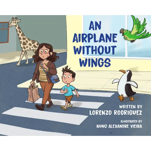 An Airplane Without Wings
