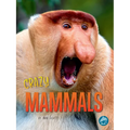 Crazy Mammals