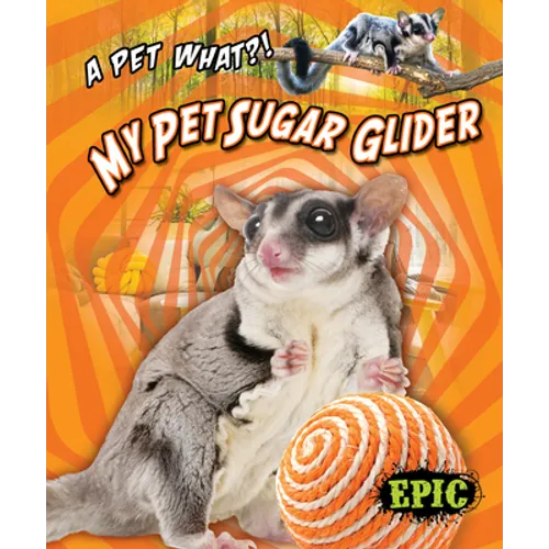 My Pet Sugar Glider