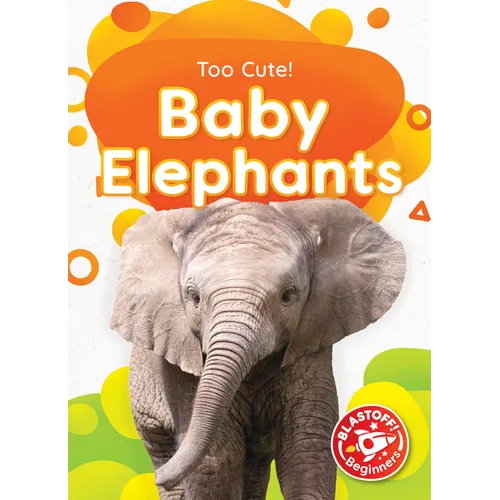 Baby Elephants