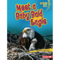 Meet a Baby Bald Eagle