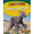 Velociraptor