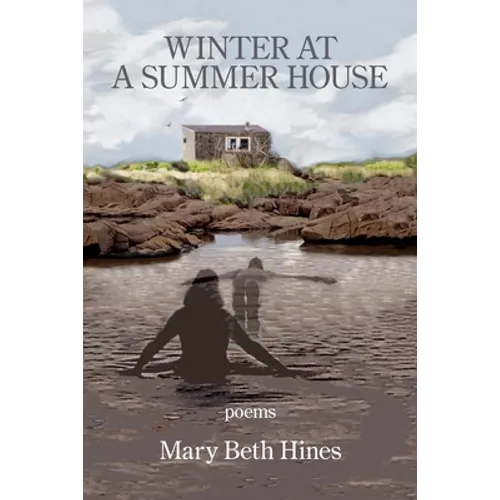 Winter at a Summer House