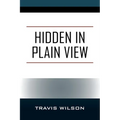 Hidden in Plain View