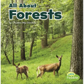 All about Forests