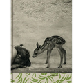 Summer of the Fawn