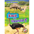 Emu or Ostrich?