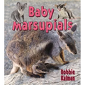 Baby Marsupials