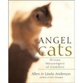 Angel Cats: Divine Messengers of Comfort