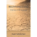 Beginning's End