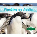 Pinguino de Adelia (Adelie Penguin)