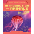 Introduction to Animals